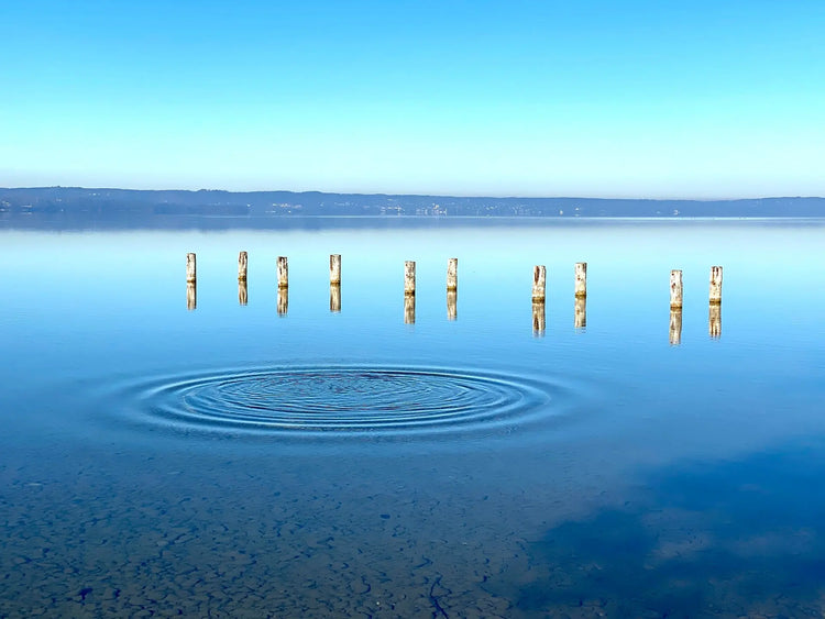 Typ Starnberger See BavarianRelax